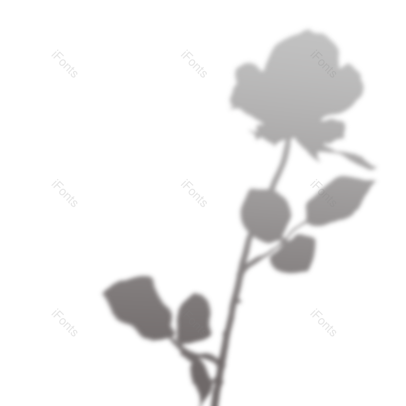 叶子图片,树叶元素,阴影PNG,阳光免抠素材